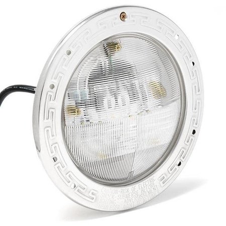 PENTAIR 100 in. 55W-500W 12V 5G IntelliBrite LED Pool Light, White EC-601307